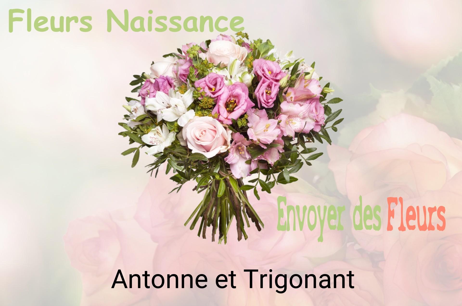 Bouquet de fleurs de naissance livré à Antonne-et-Trigonant