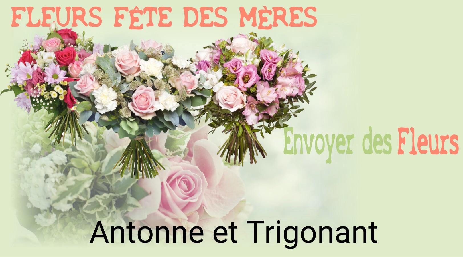 Bouquet de Fête des Mères livré à Antonne-et-Trigonant