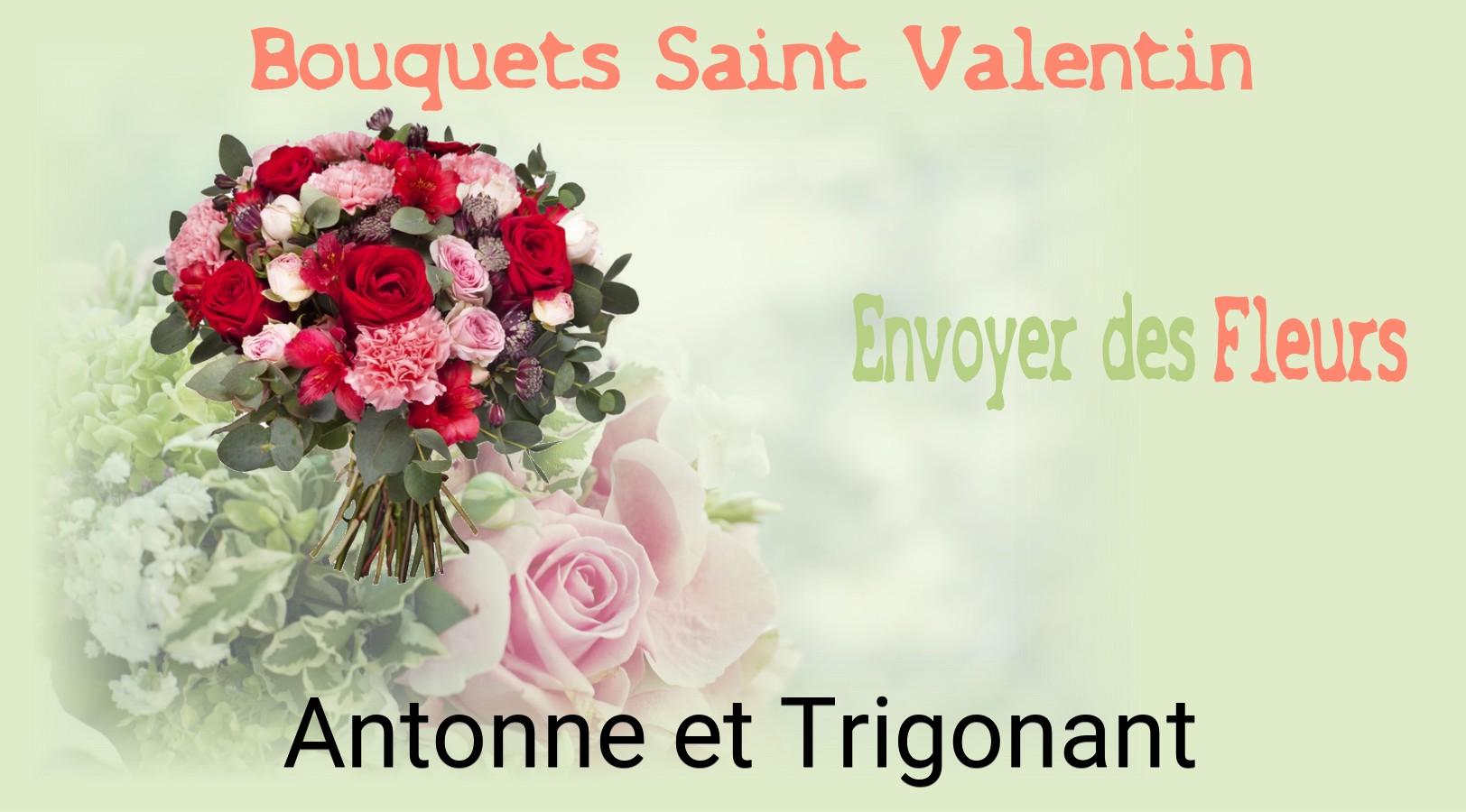 Roses de Saint-Valentin livrées à Antonne-et-Trigonant